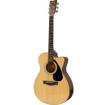FS100C Acoustic Guitar