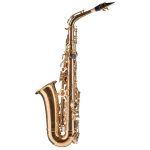 Proel Grassi GR SAL700 Alto Saxophone - Image 6