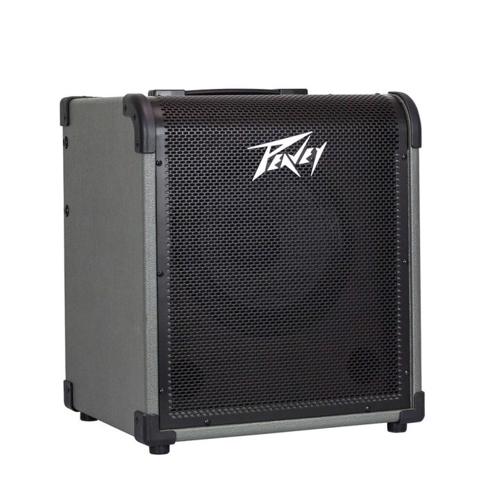 Peavey MAX 100 Bass Combo Amp - Image 5