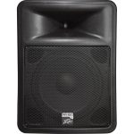 Peavey PR 15D 2-Way Powered PA Speaker