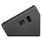 Wharfedale Pro DVP-X15M Passive Floor Monitor - Image 2