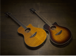 APX 600 - Image 2