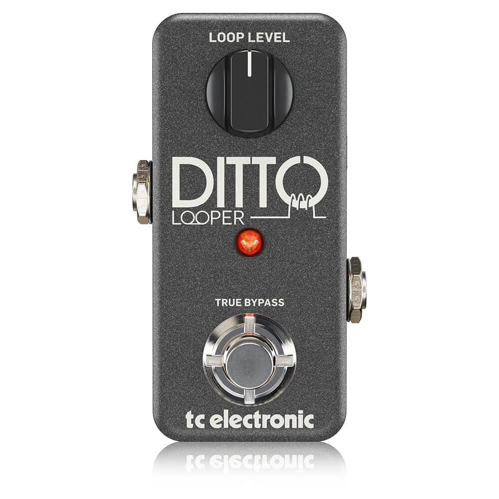 DITTO-LOOPER_P0DD4_Top_XL TC Electronic DITTO LOOPER Pedal - Image 1