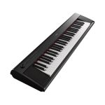 Yamaha Piaggero NP-12 Piano-style, 61-Key Keyboard