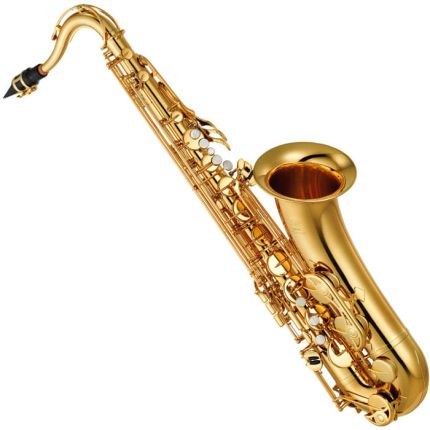 Proel Grassi GR SAL700 Alto Saxophone - Credible Sounds