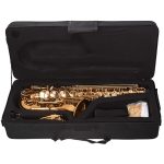 Proel Grassi GR SAL700 Alto Saxophone - Image 3