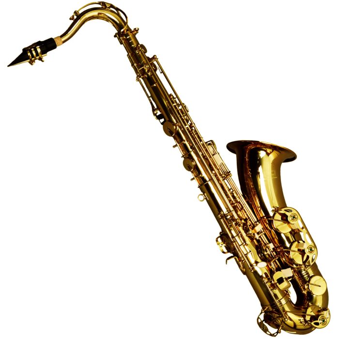 Explorer EXP A1TS Tenor Saxophone - Image 1