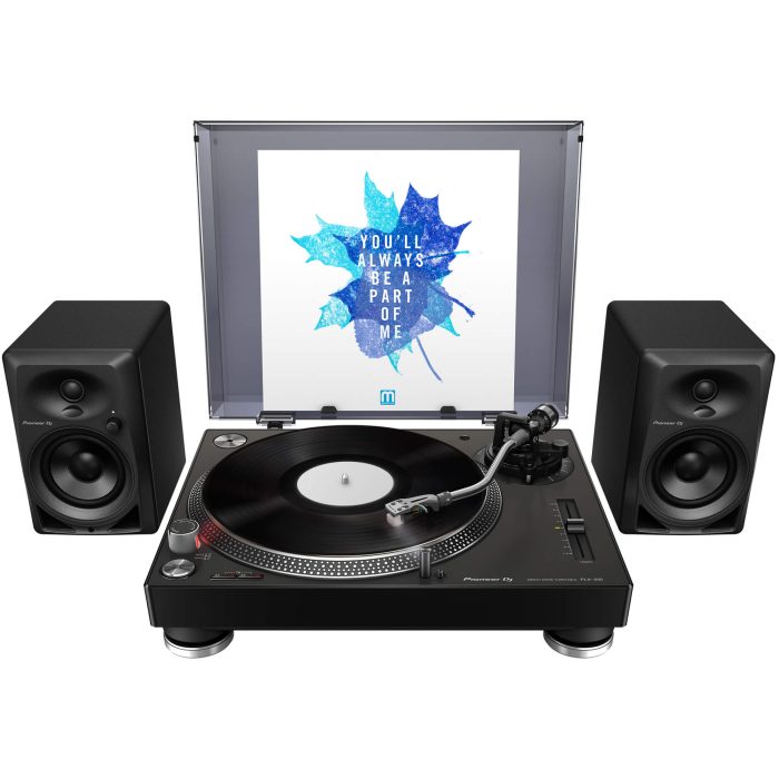 Pioneer DJ DM-40 4” Desktop Monitor System - Credible Sounds