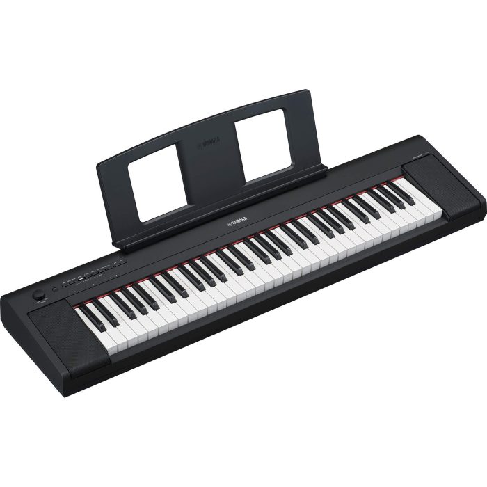 NP-15_BL_a_0002_111c884269daf558f6d033a55a9a3adf Yamaha Piaggero NP-15 61-Key Portable Keyboard - Image 1